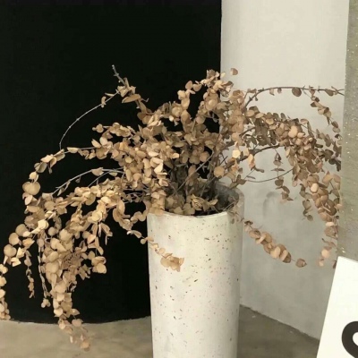 富锦FurryQQ群介绍